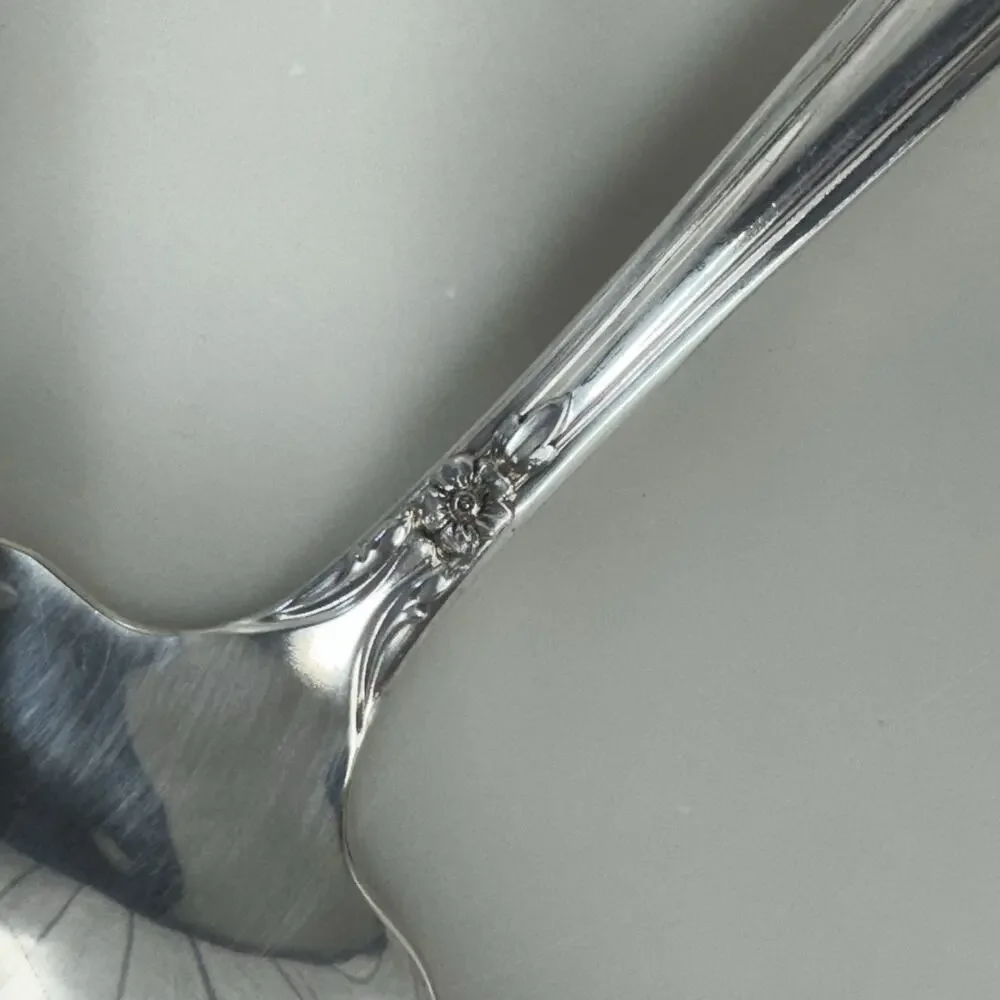 Wm. A. Rogers Oneida Valley Rose Ladle Silverplate Severing Dining